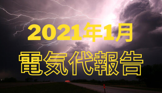 2021年1月光熱費報告〜電気代編〜